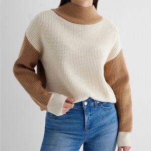 Reversible Colorblock Mockneck Sweater